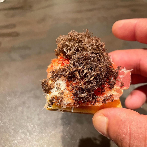 Snack med revet trøffel. Catering til reception, selskaber mm. 
